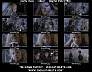 aliens00x2.jpg
