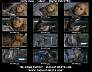 aliens00x4.jpg