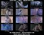 aliens00x6.jpg