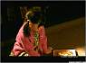 awkard102.jpg