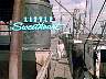 sweet01.jpg
