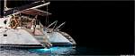 ewshark26.jpg