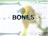 gfbones01.jpg