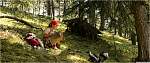 jrcamp064.jpg