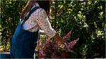 mblights031.jpg