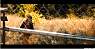 ml2012br014.jpg