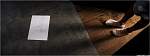 spdney032.jpg