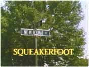 Sarah Polley "The Ramona Gallery"